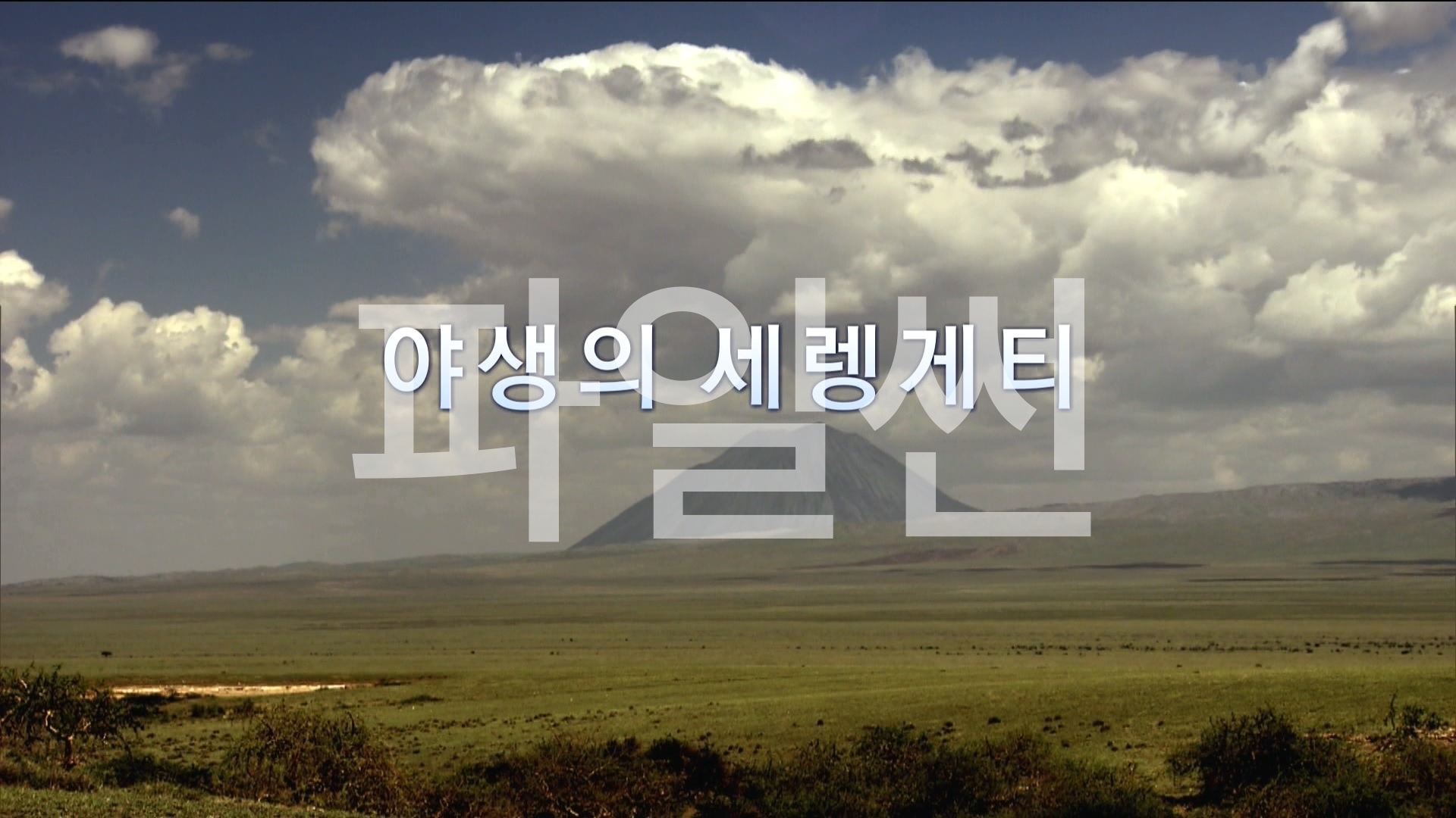야생의 세렝게티.200406.방어의 기술.1080p-ChWn