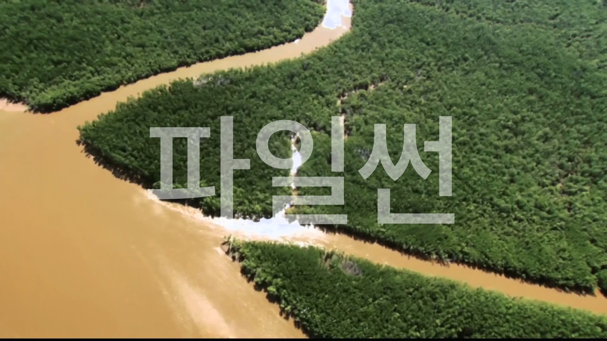 내셔널지오그래픽 마다가스카르의 놀라운 동물들