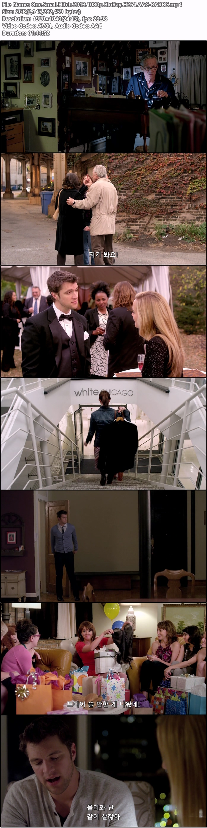 발칙한 러브스캔들 One.Small.Hitch.2013.1080p.BluRay.H264.AACRARBG 저장 파일썬