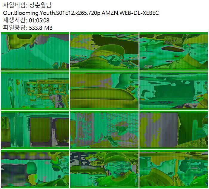 청춘월담 Our.Blooming.Youth.S01E12.x265.720p.AMZN.WEBDLXEBEC 저장 파일썬