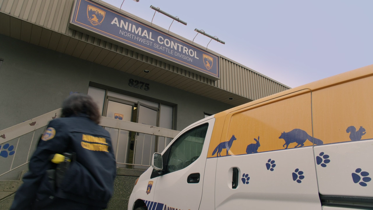 Animal.Control.S01E10.Pigs.and.Minks.720p.AMZN.WEBDL.DDP5.1.H.264NTb