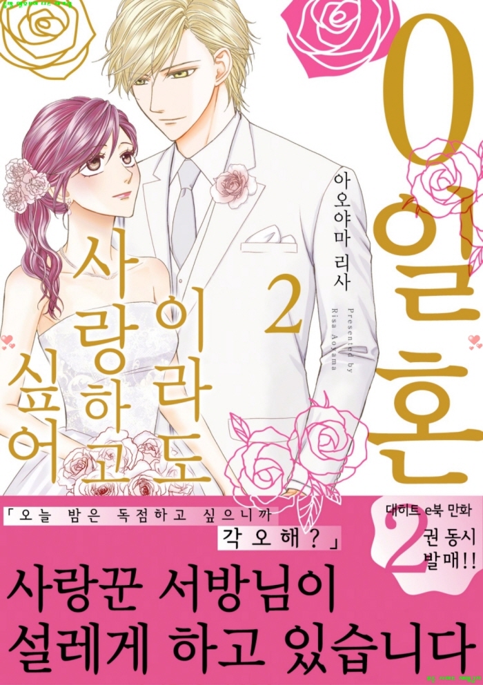 [S] 아오야마 리사 - 0일혼이라도 사랑하고 싶어 02권