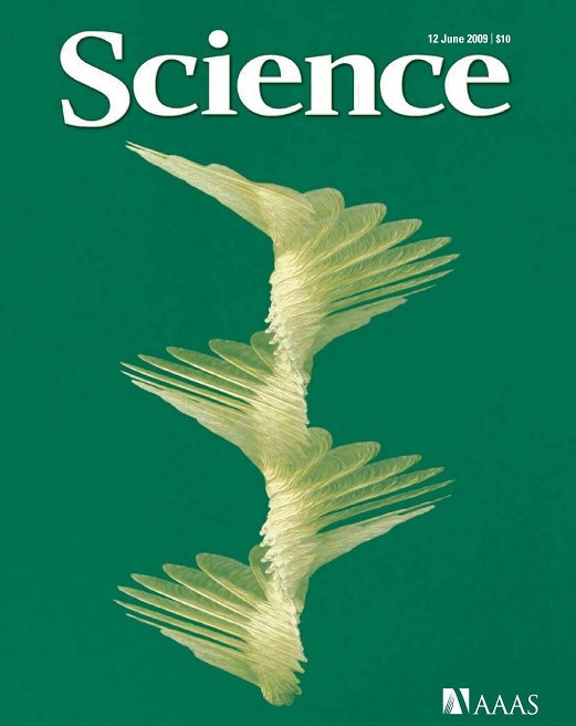[e북잡지] Science 2009년 6월 12일