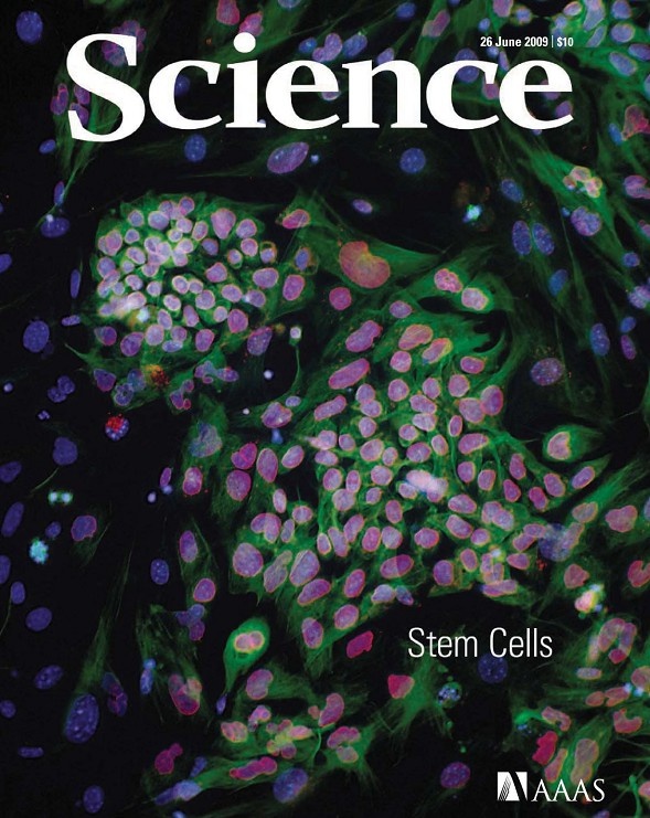 [e북잡지] Science 2009년 6월 26일