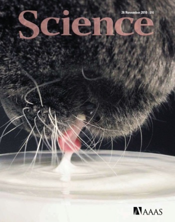 [e북잡지] Science 2010년 11월