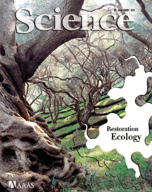 [e북잡지] 사이언스지 Science Magazine 2009년 7월 31일