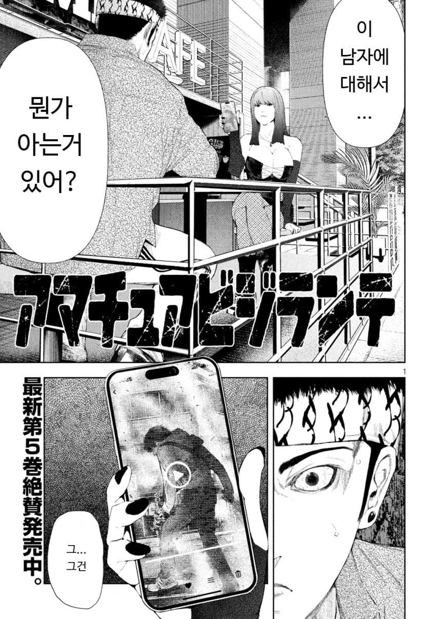 아마추어 V질란테 1~53화