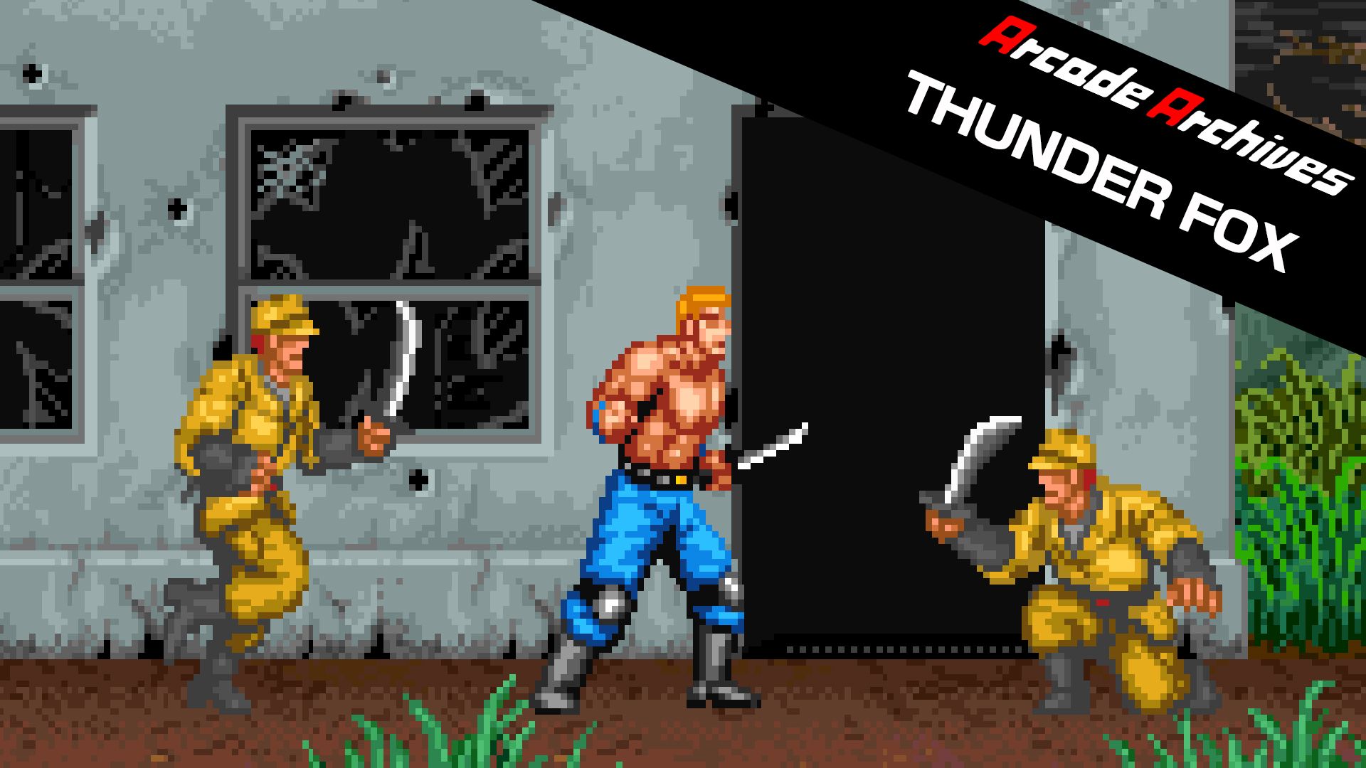 [NSW] 아케이드 아카이브 썬더 폭스 (Arcade Archives THUNDER FOX)