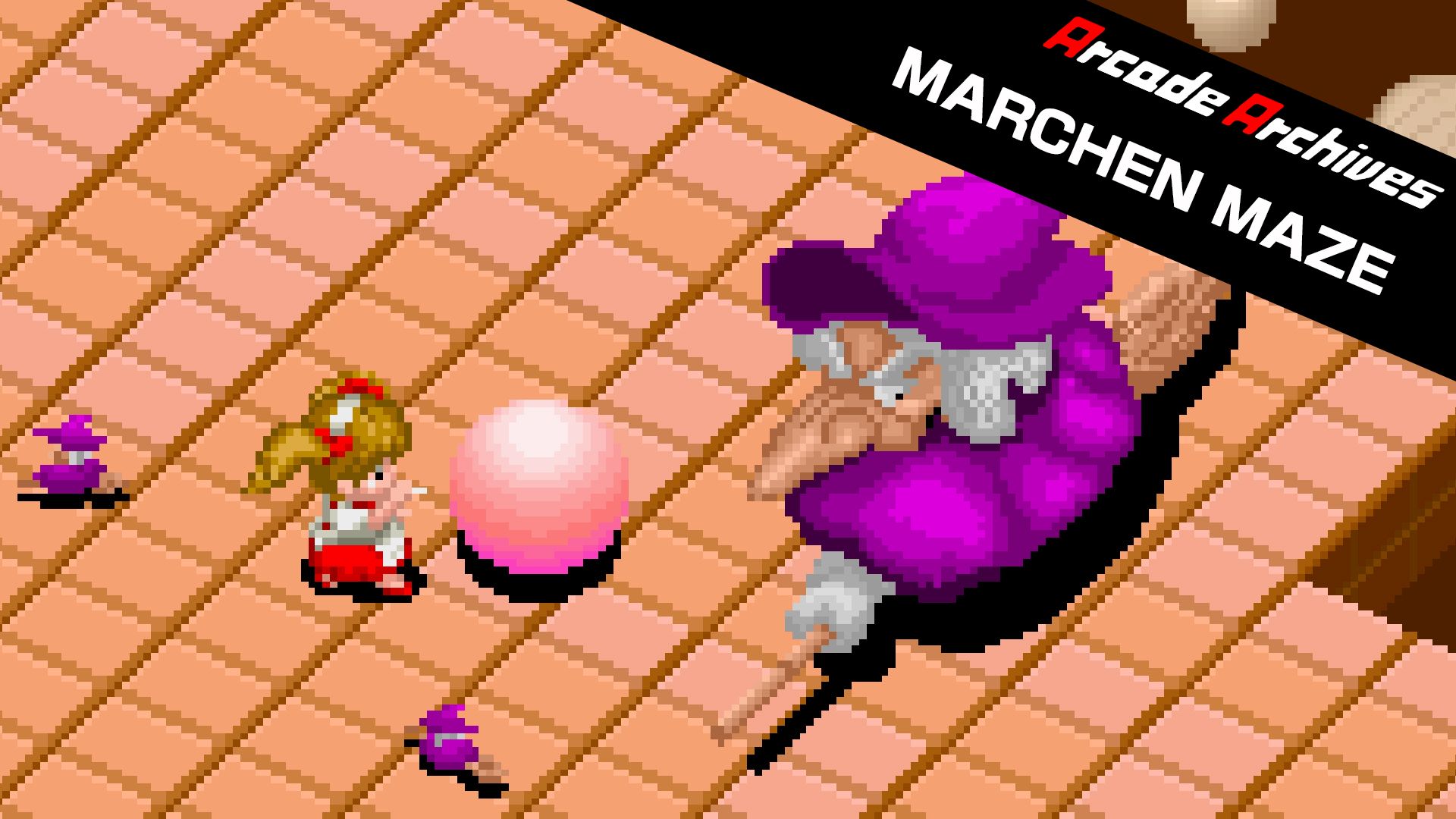 [NSW] 아케이드 아카이브 메르헨 메이즈 (Arcade Archives MARCHEN MAZE)