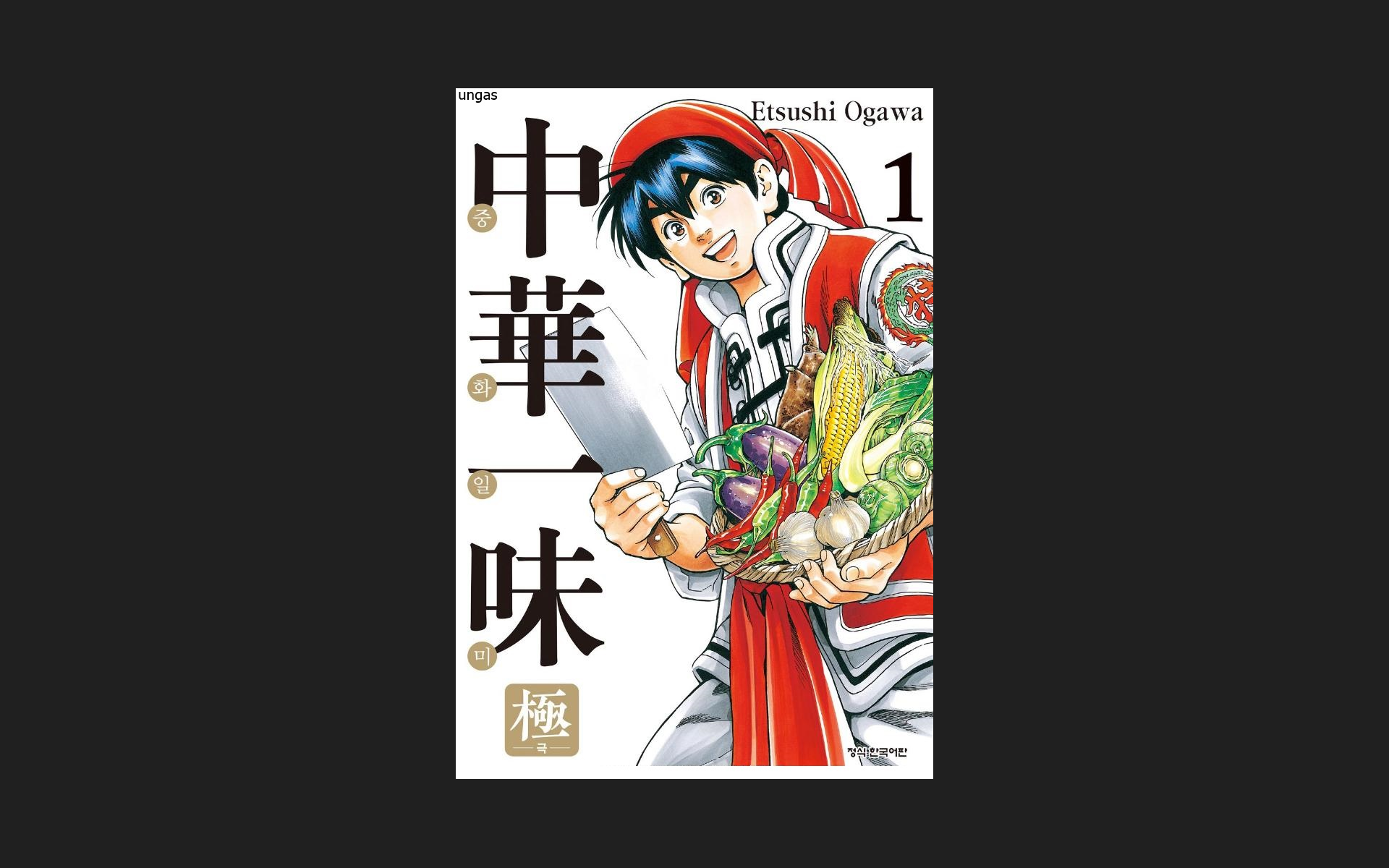 [E-book] 중화일미 요리왕비룡 1-16권(완결)