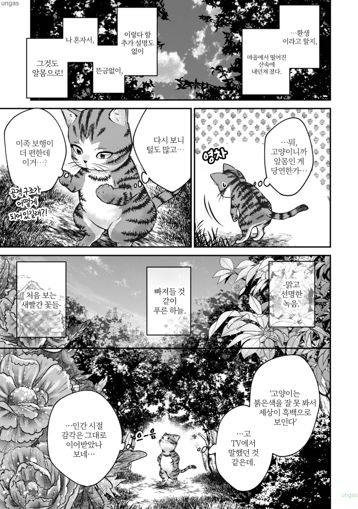 마도사 전생 슬로라이프 1~20.5화 번외포함_§