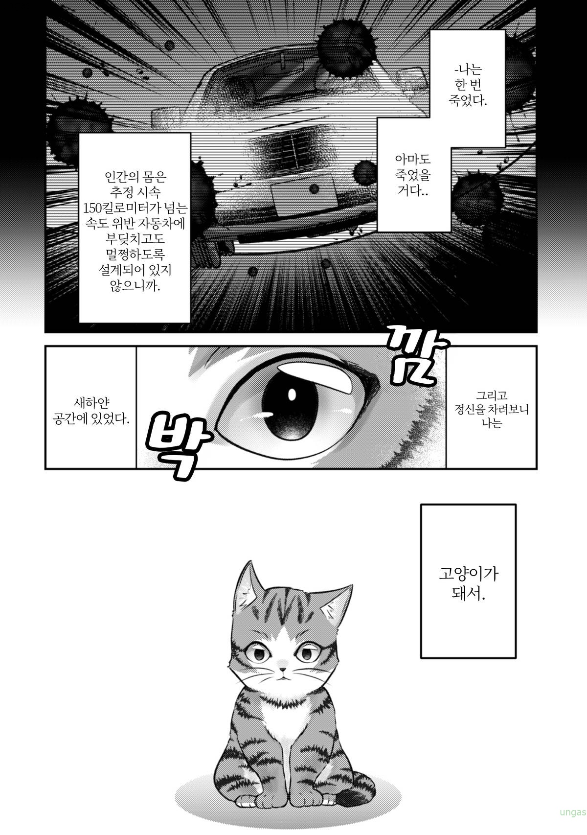 사기캐 고양이 마도사의 전생 슬로라이프 1~20.5화 번외포함_§