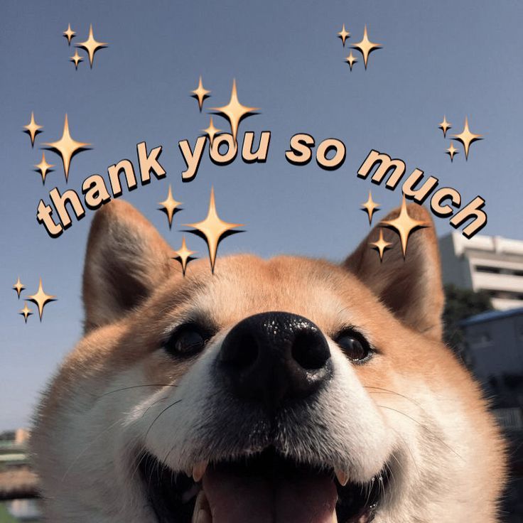 [N] 로또 1등도 출근합니다 1-325 완 251108