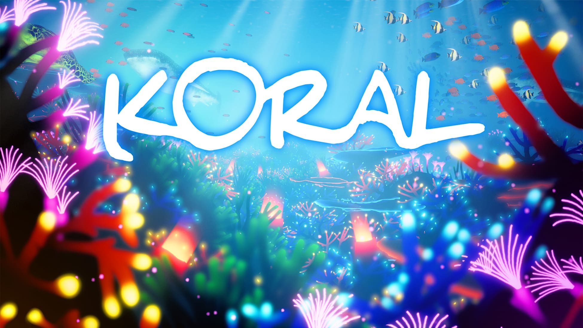 [NSW] 코랄 (KORAL)