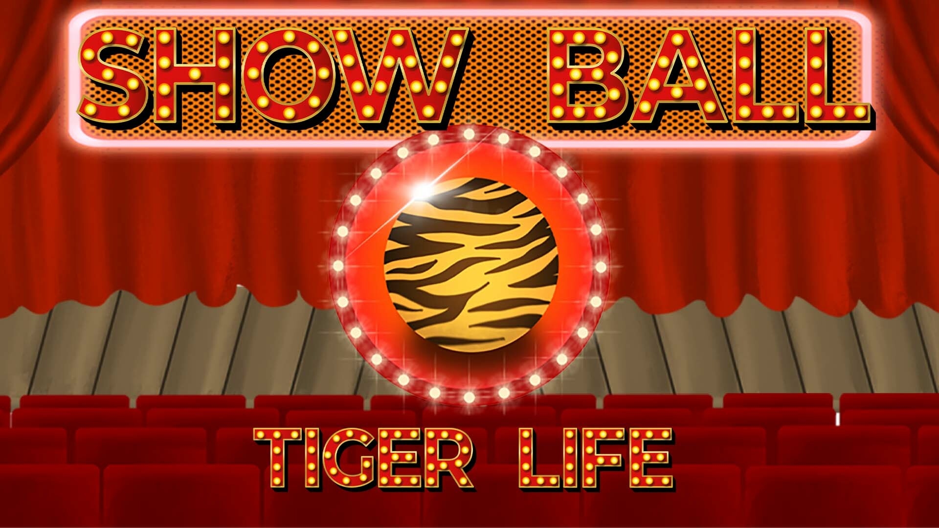 [NSW] 쇼볼: 타이거 라이프 (Show Ball: Tiger Life)