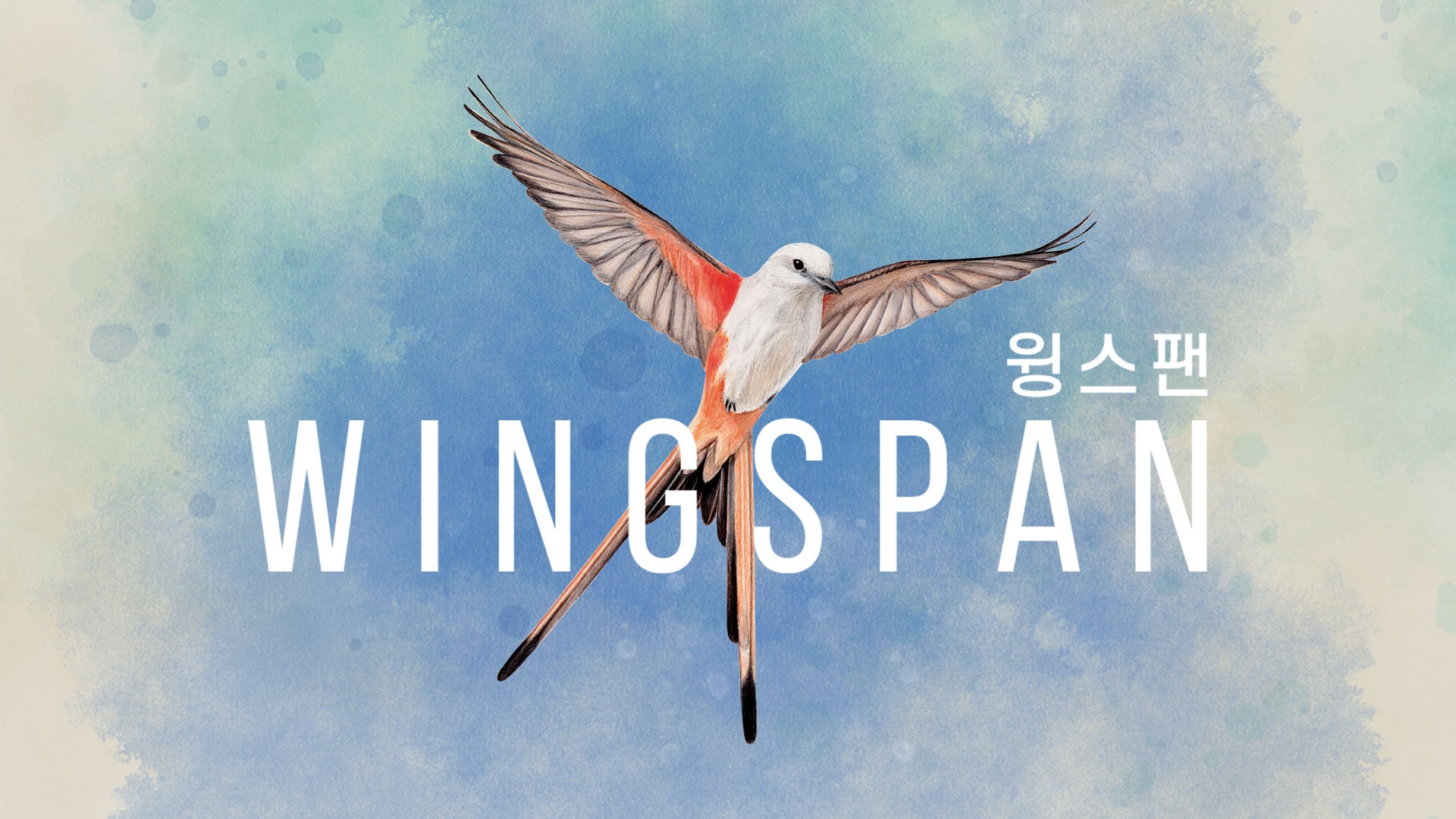 [NSW] 윙스팬 (WINGSPAN)