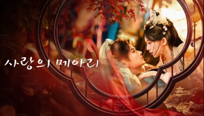 [중드] 사랑의 메아리(침홍장) 11-12화 한글파일O 진천우 호역요 설팔일