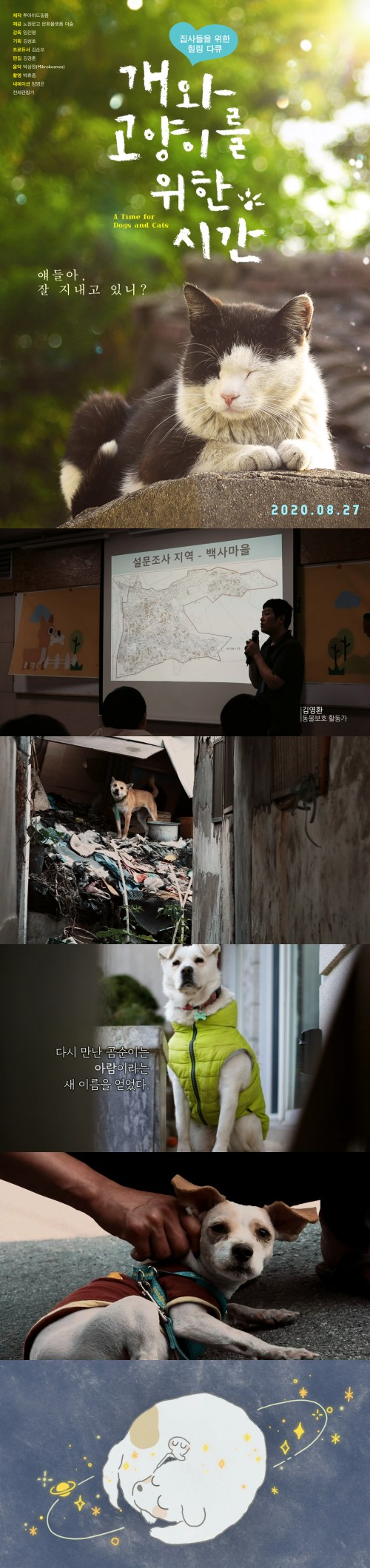 [개와고양이를위한시간]집사들을 위한 힐링 다큐