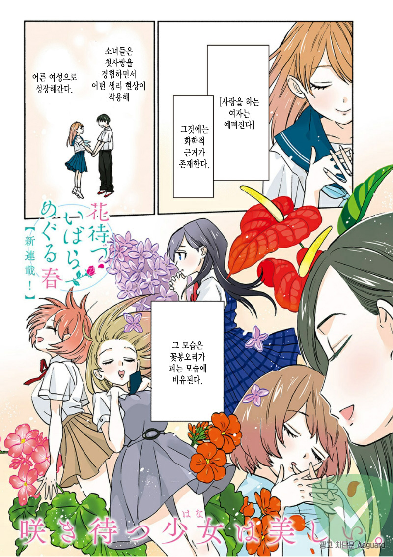 꽃 피우길 기다리는 이바라, 돌고 도는 봄 01-37 [완결]_＆