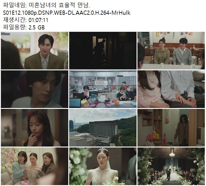미혼남녀의 효율적 만남.S01E12.1080p.DSNP.WEB-DL.AAC2.0.H.264-MrHulk