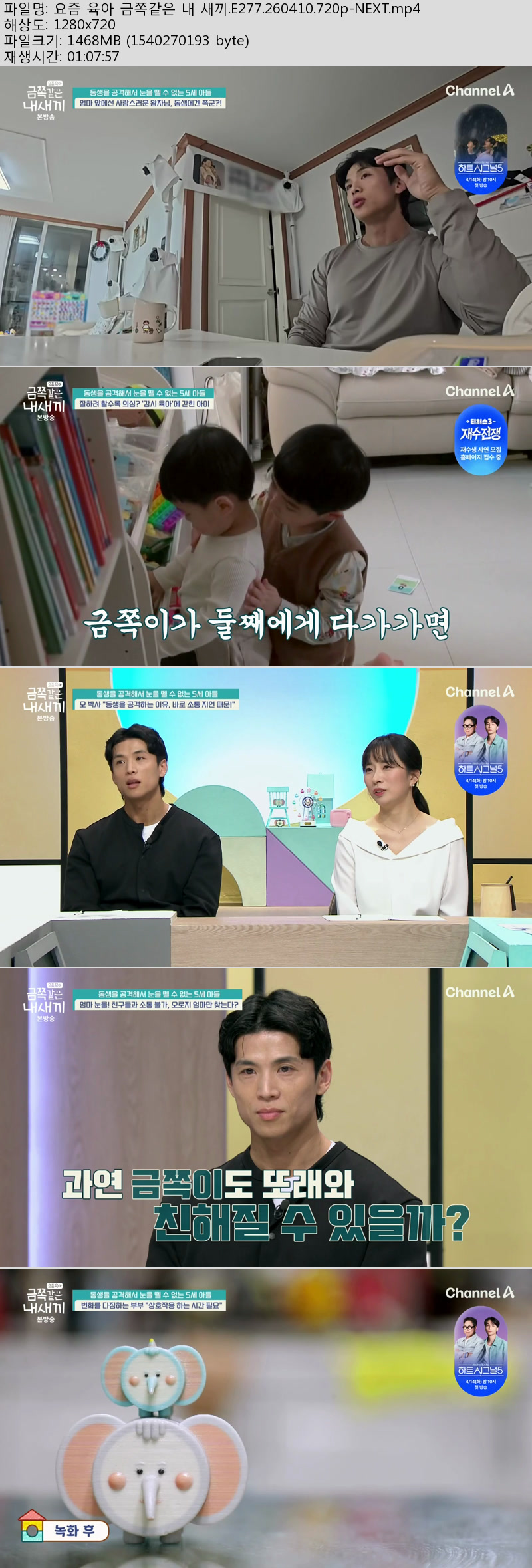 요즘 육아 금쪽같은 내 새끼.E277.260410.720p-NEXT