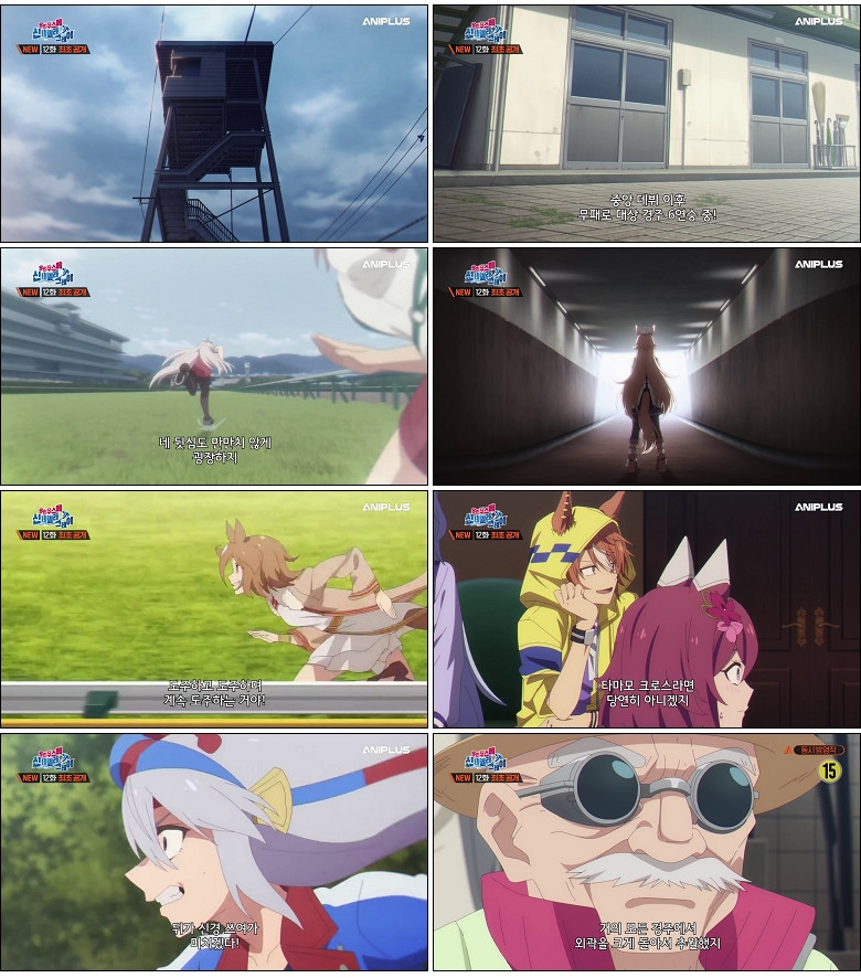 우마무스메 신데렐라 그레이.E12.260331.720p-NEXT