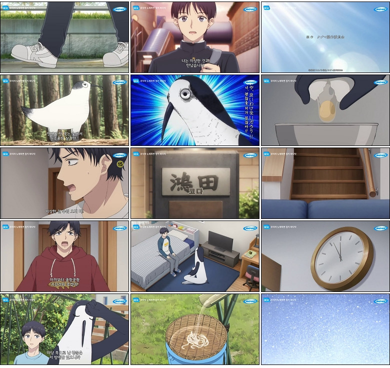 쿠지마 노래하면 집이 파다닥.E01.260410.450p-NEXT