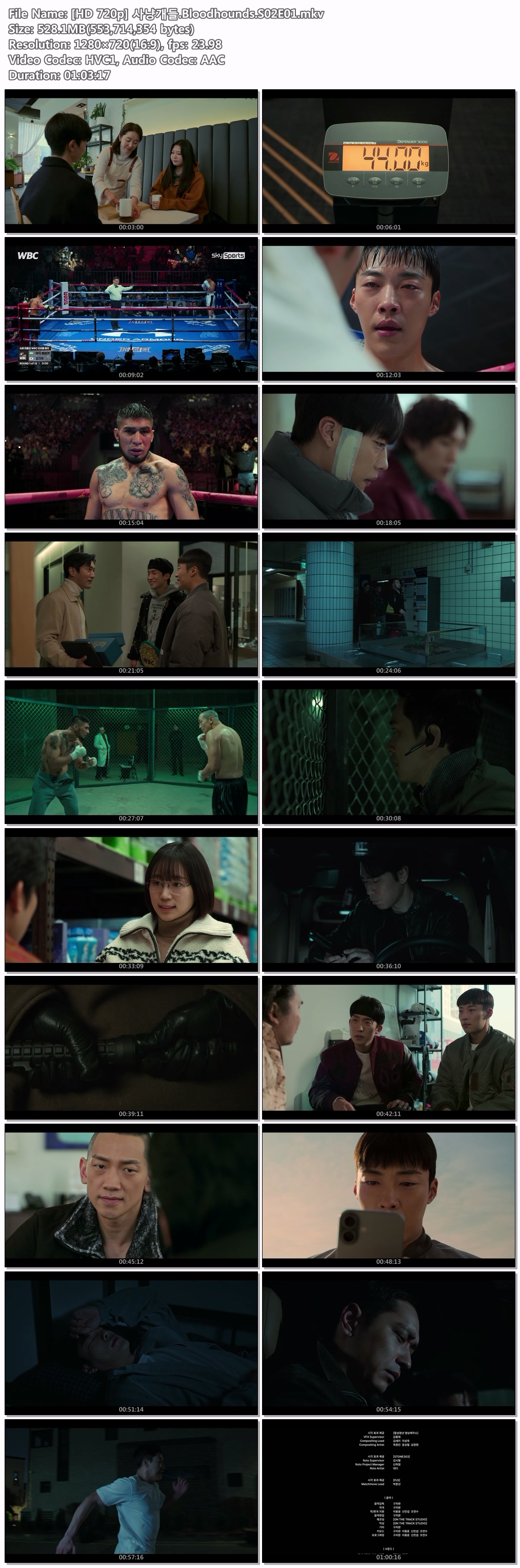 [NETFLIX] 사냥개들(Bloodhounds) 시즌2