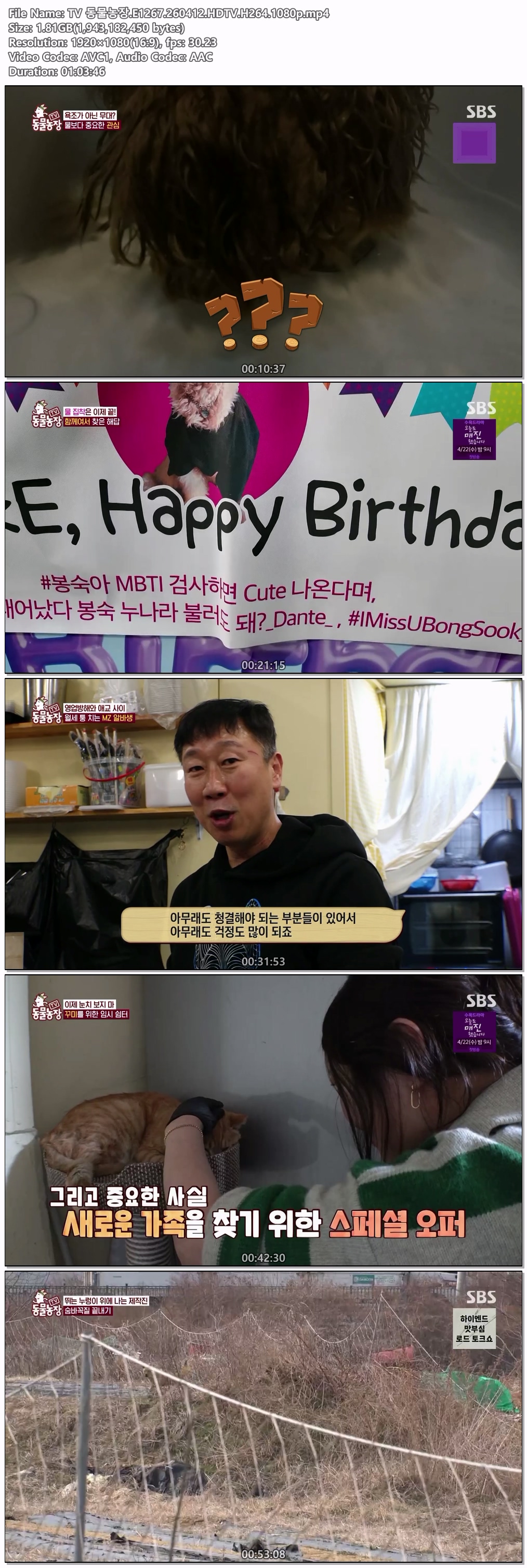 TV 동물농장.E1267.260412.HDTV.H264.1080p