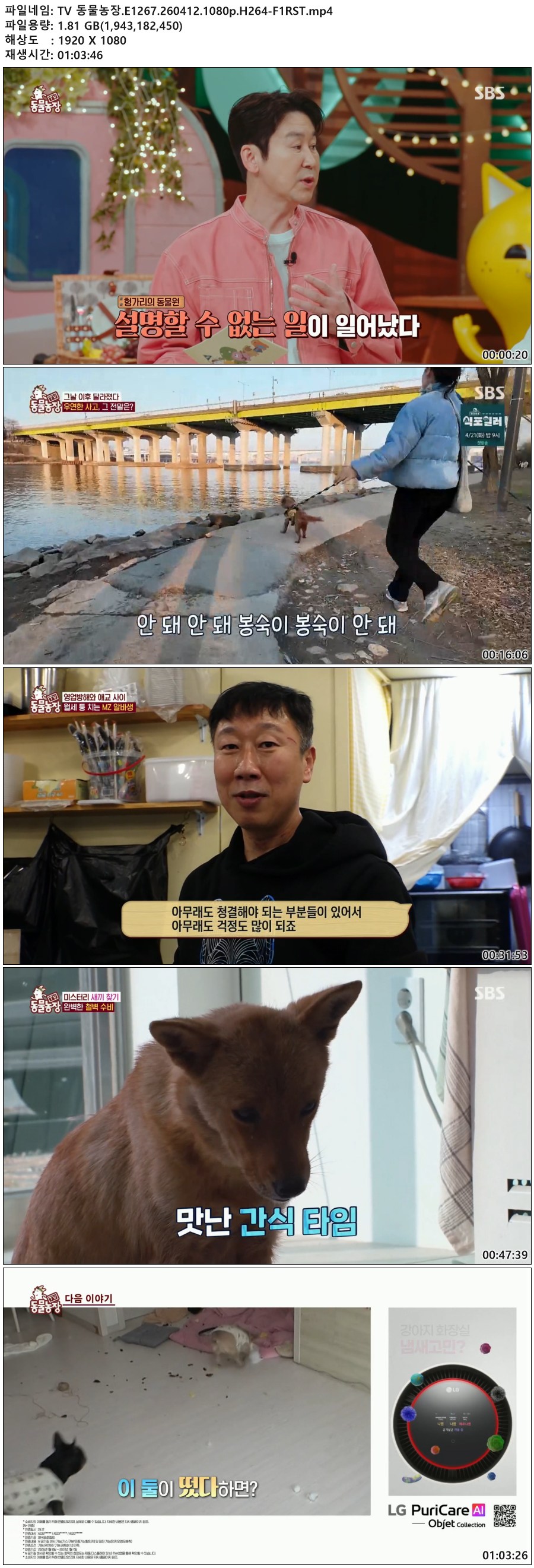 TV 동물농장.E1267.260412.1080p.H264-F1RST