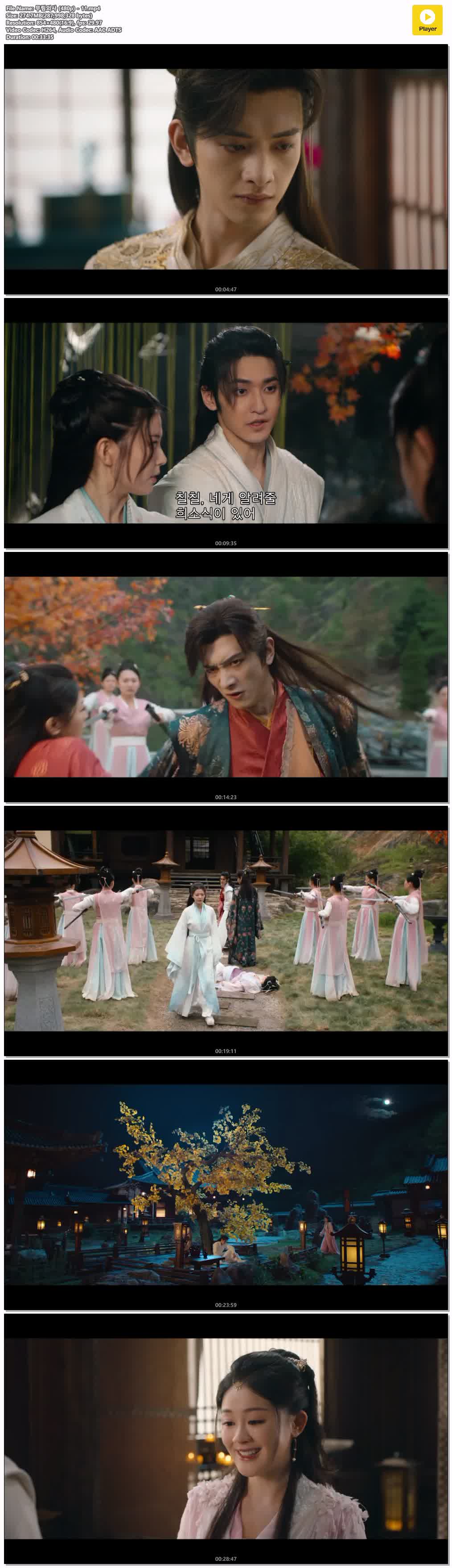 무림외사 (480p) - 11