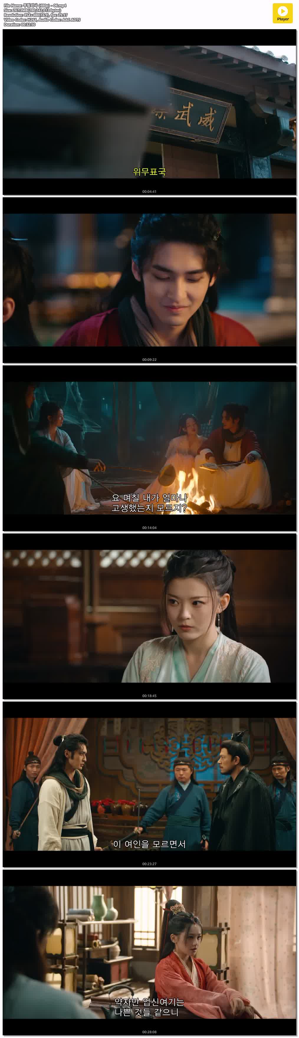 무림외사 (480p) - 06