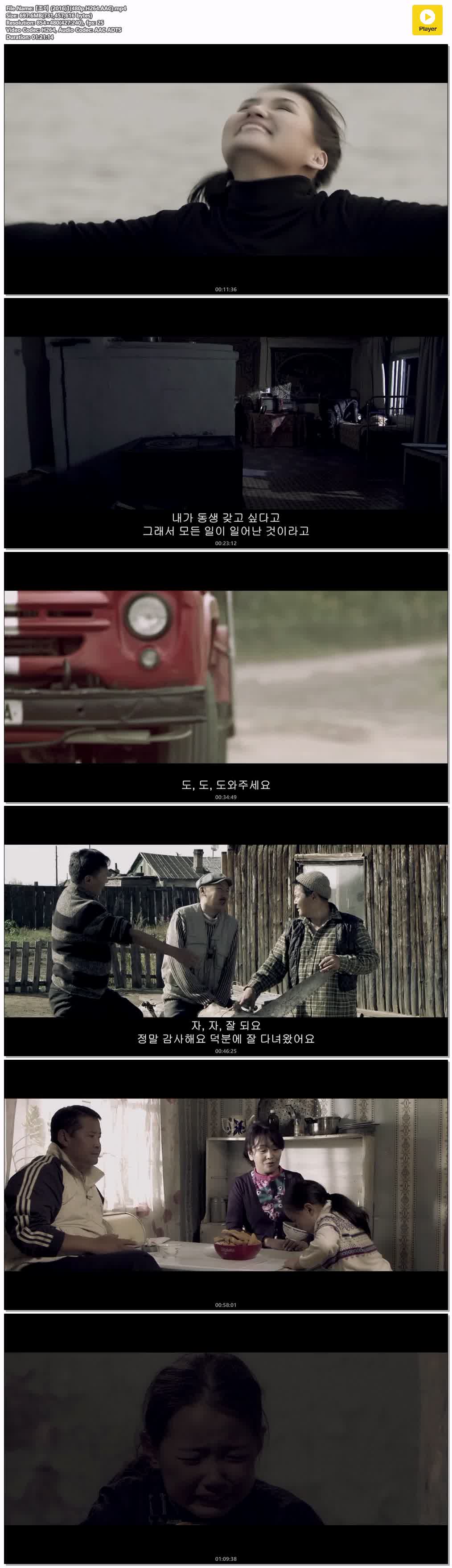 【조이 (2016)】(480p.H264.AAC)