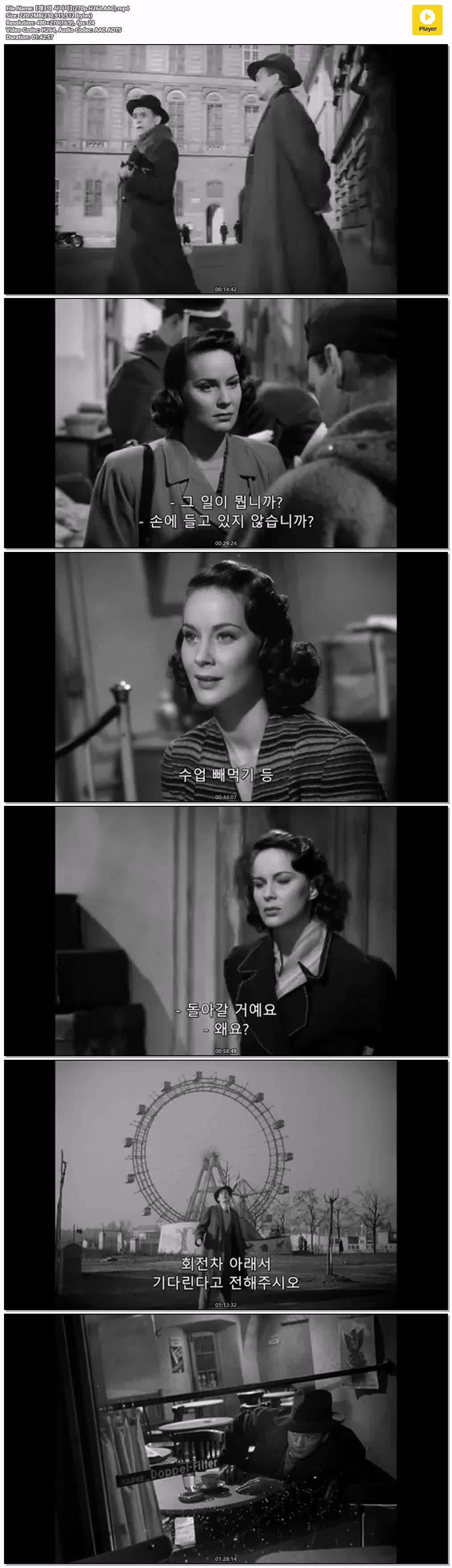【제3의 사나이】(270p.H264.AAC)
