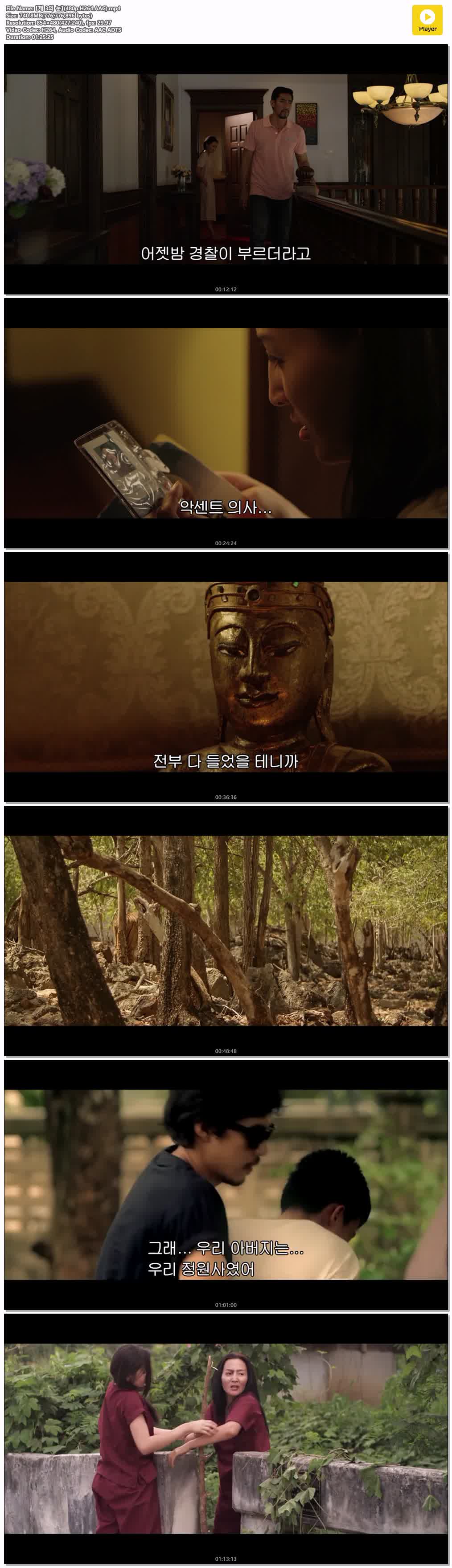 【제 3의 눈】(480p.H264.AAC)