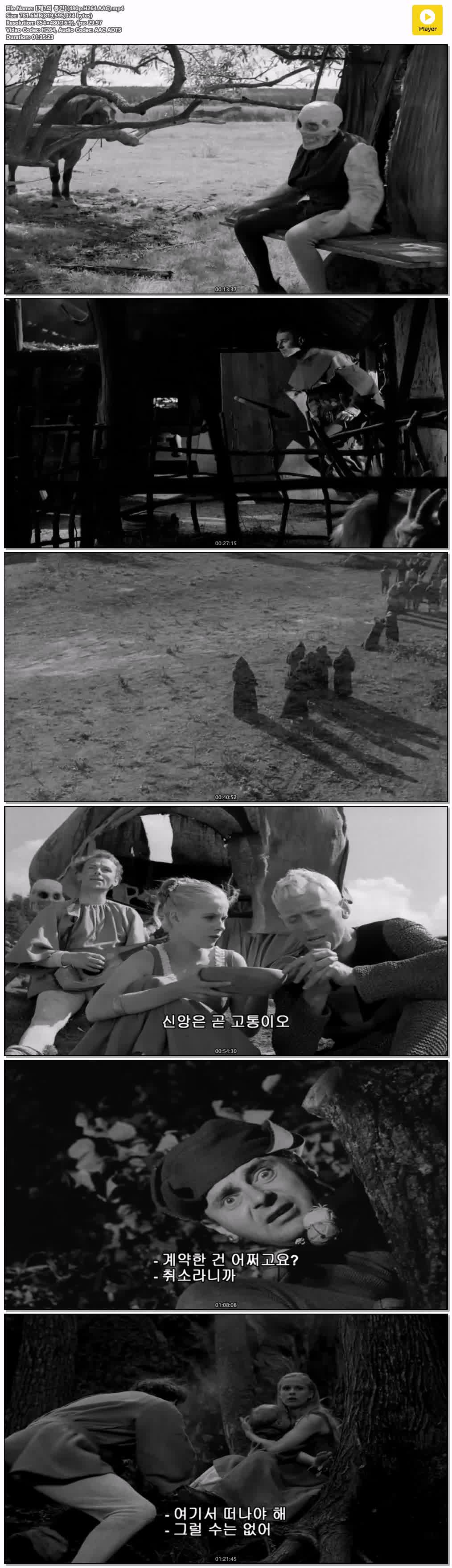 【제7의 봉인】(480p.H264.AAC)