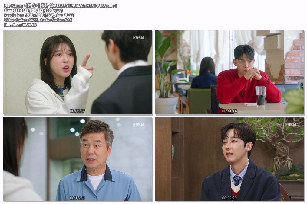 기쁜 우리 좋은 날.E13.260415.1080p.H264-F1RST