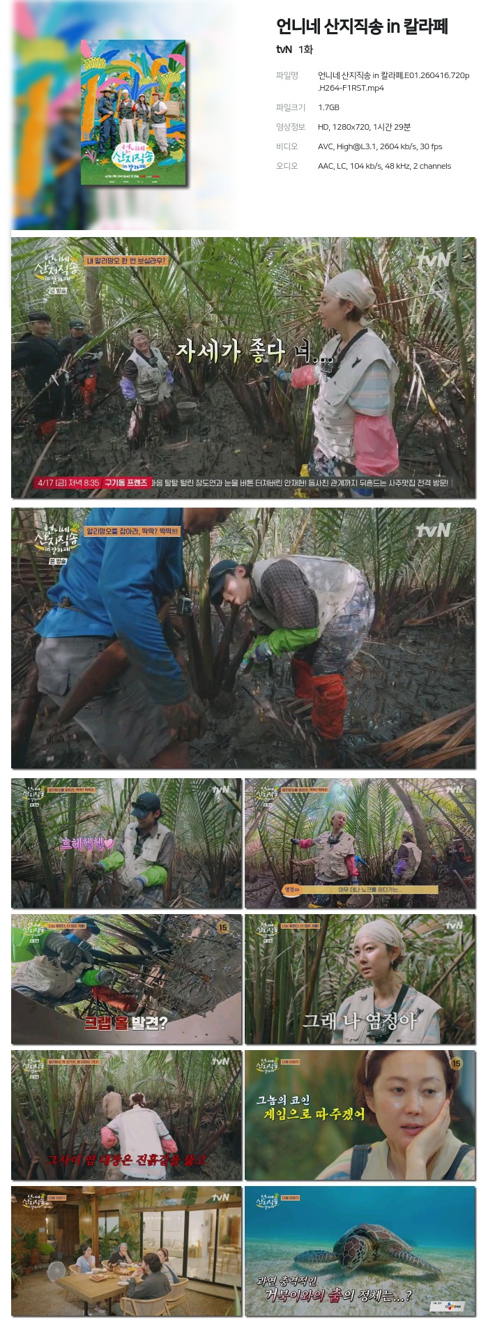 언니네 산지직송 in 칼라페.E01.260416.720p.H264-F1RST