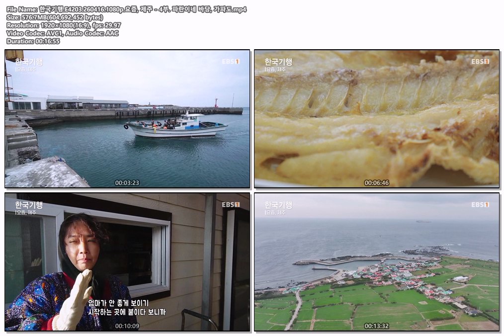 한국기행.E4203.260416.1080p.요즘, 제주 - 4부. 파란이네 바당, 가파도