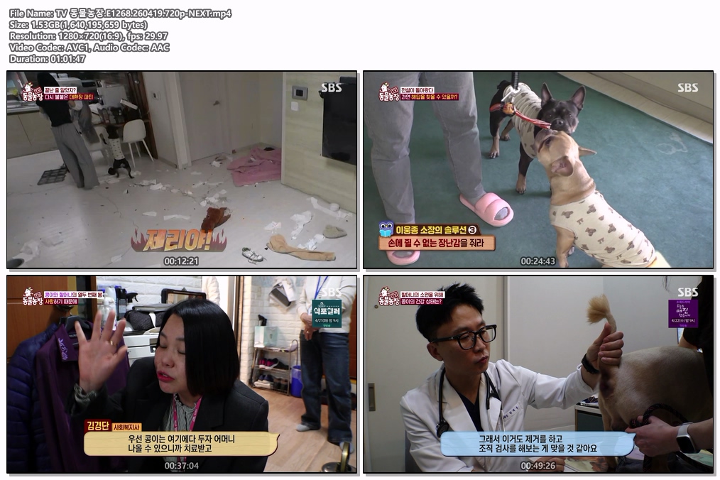 TV 동물농장.E1268.260419.720p-NEXT