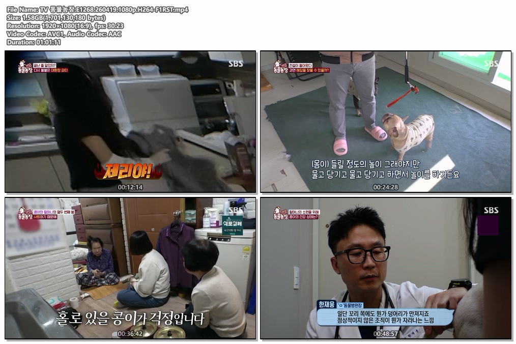 TV 동물농장.E1268.260419.1080p.H264-F1RST