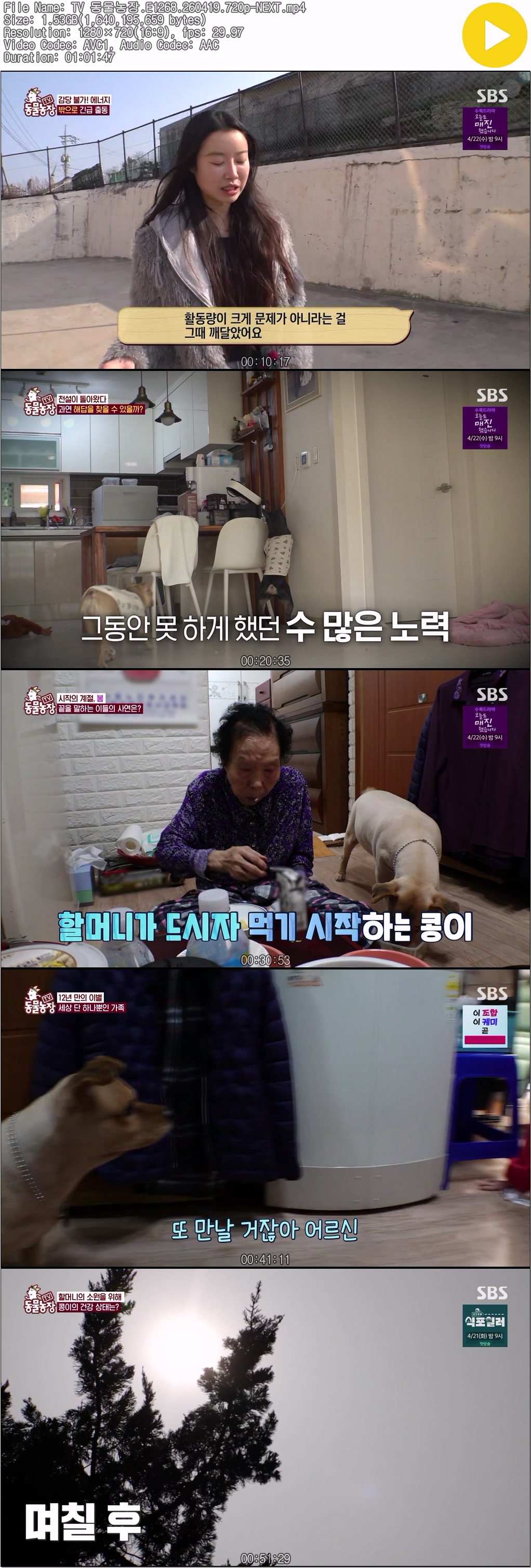 TV 동물농장.E1268.260419.720p-NEXT