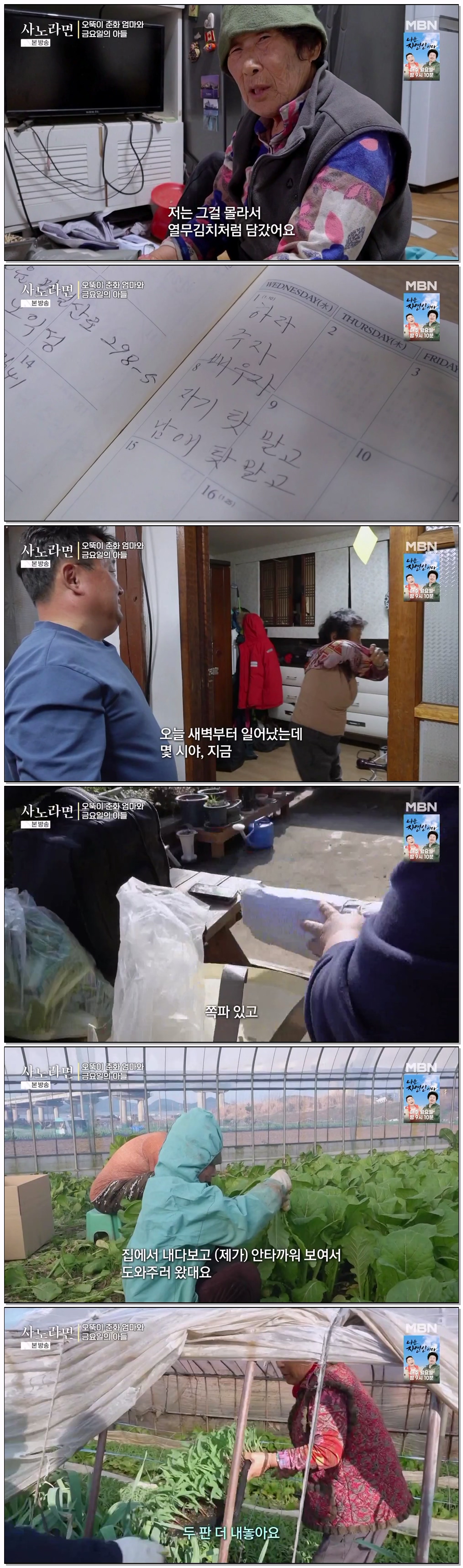 휴먼다큐 사노라면.E736.260419.720p-NEXT