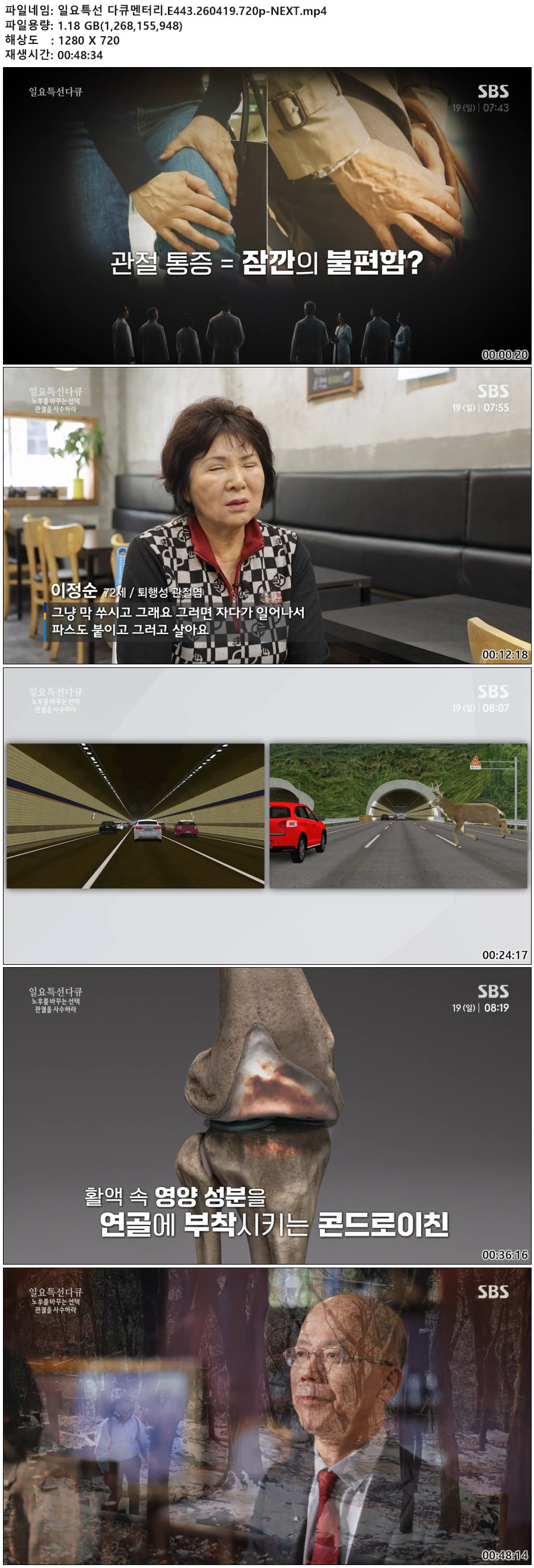일요특선 다큐멘터리.E443.260419.720p-NEXT
