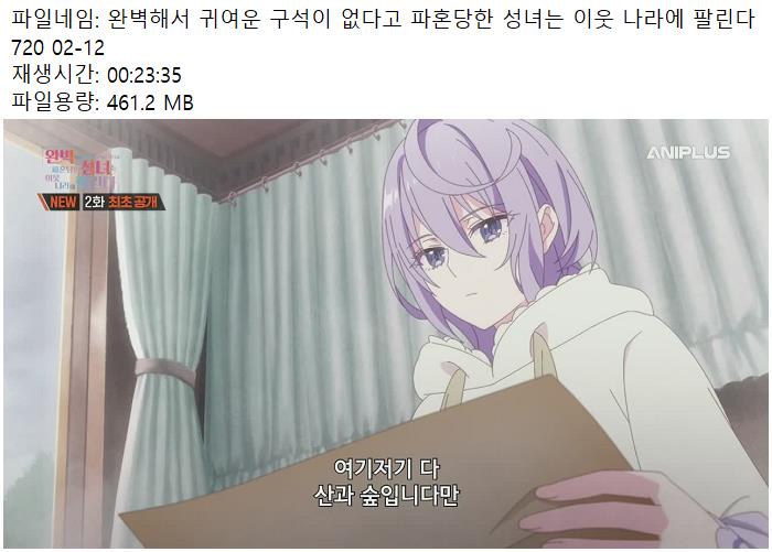 완벽해서 귀여운 구석이 없다고 파혼당한 성녀는 이웃 나라에 팔린다 720 02-12