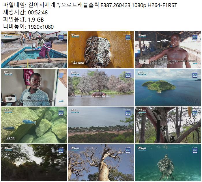 걸어서세계속으로트래블홀릭.E387.260423.1080p.H264-F1RST