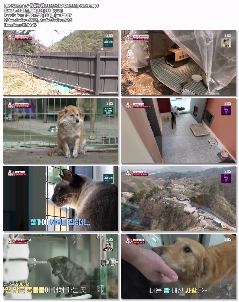 TV 동물농장.E1269.260426.720p-NEXT