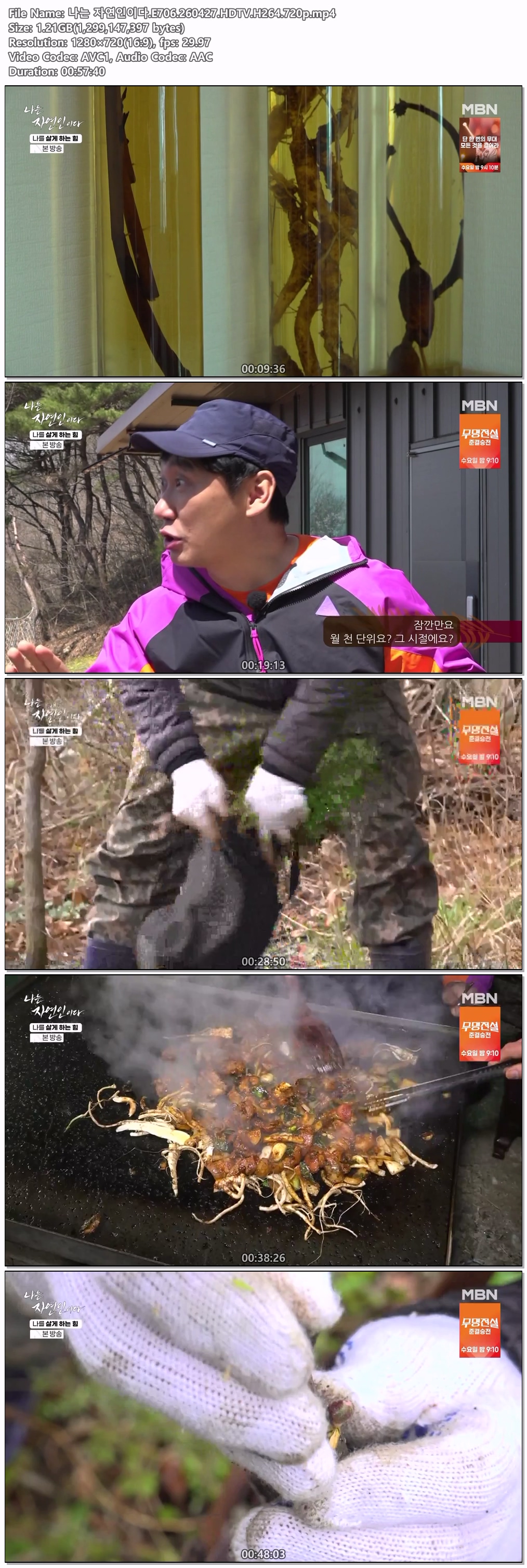 나는 자연인이다.E706.260427.HDTV.H264.720p