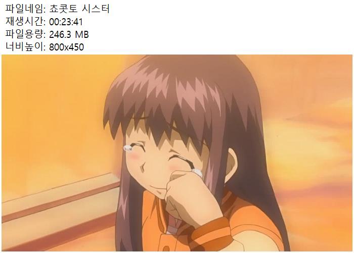 쵸콧토 시스터 24부작 480 한