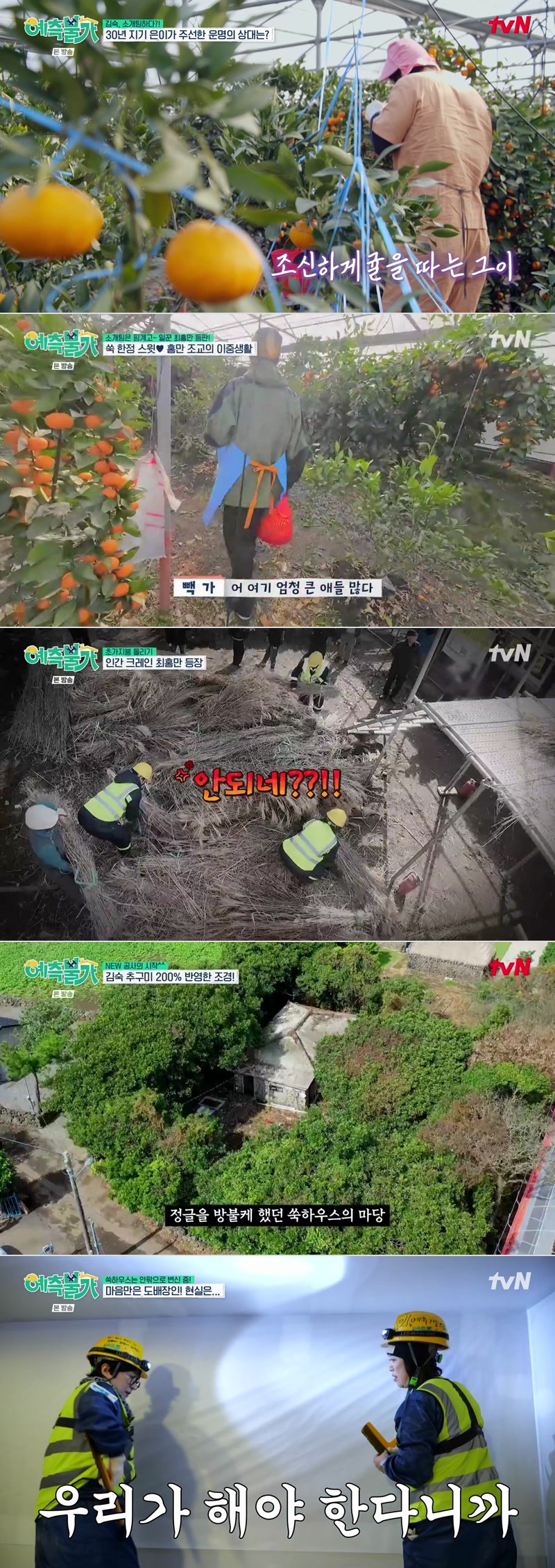 예측불가.E07.260424.720p.H264-F1RST